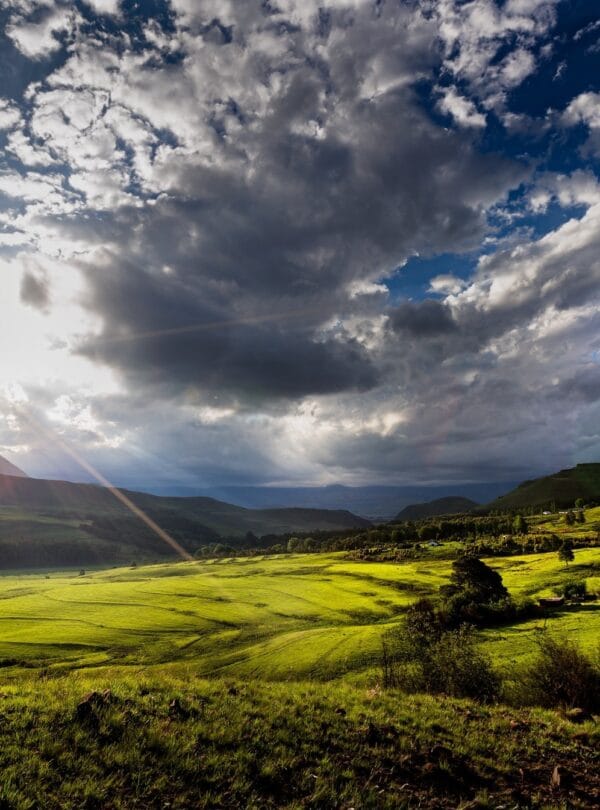 CREATOR: gd-jpeg v1.0 (using IJG JPEG v80), quality = 90